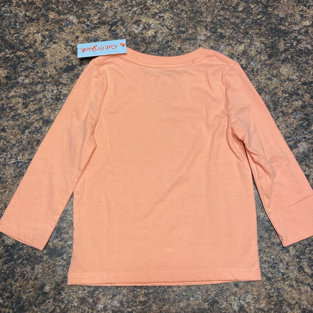 🟩🪷Cat & Jack Long Sleeve Pink Braids Silhouette Graphic T-Shirt, Girls 2T - Picture 3 of 4